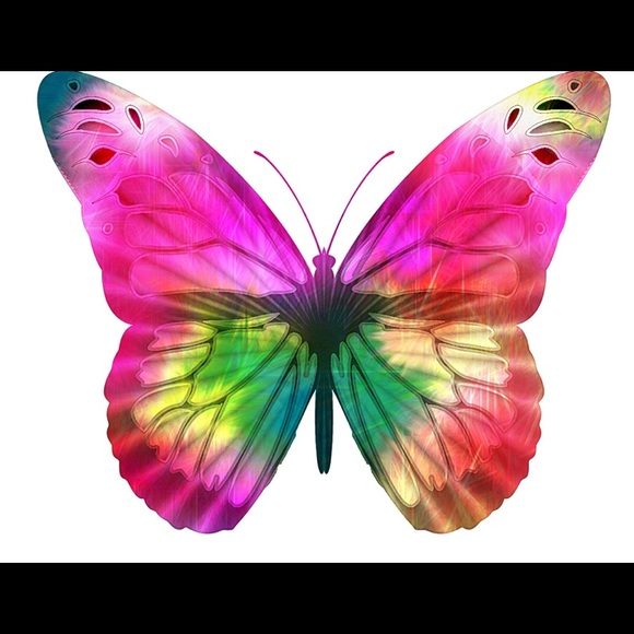 Meet your Posher, Lanie - Picture 1 of 1